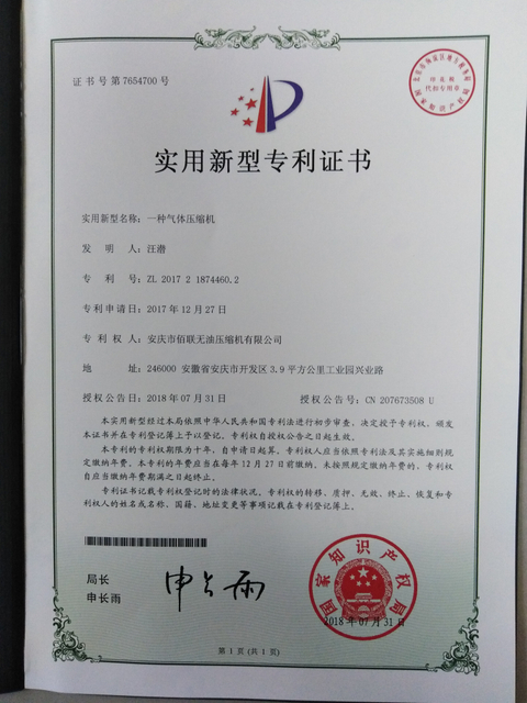 一种 气体 压缩机