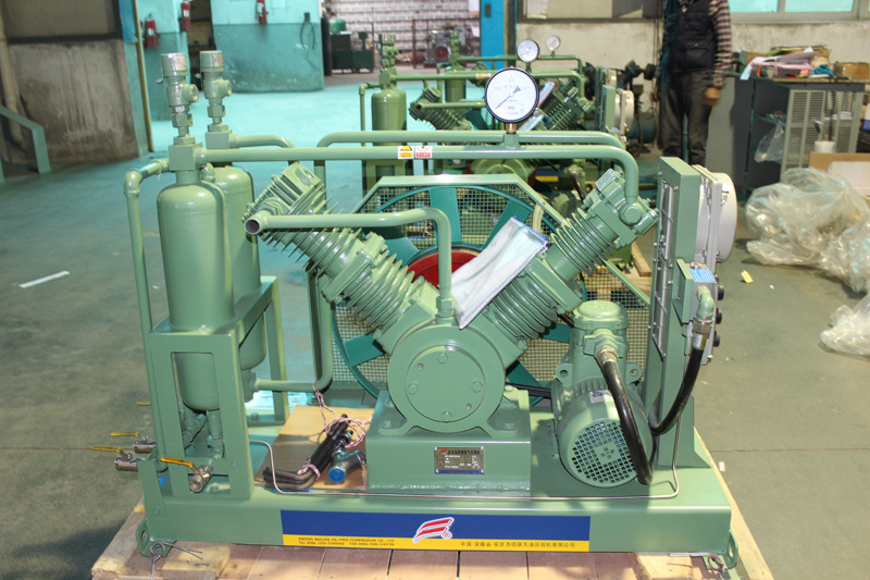 kaligtasan na nagreresulta ng hydrogen piston compressor para sa laboratoryo (4)