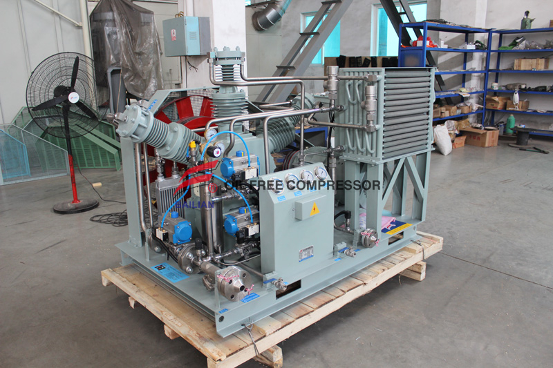 Pang-industriya ng Laser Air Co2 Gas Compressor para sa Beer