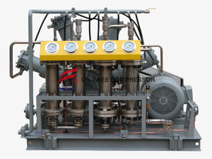 Oil Free High Pressure Argon Gas Compressor in Car