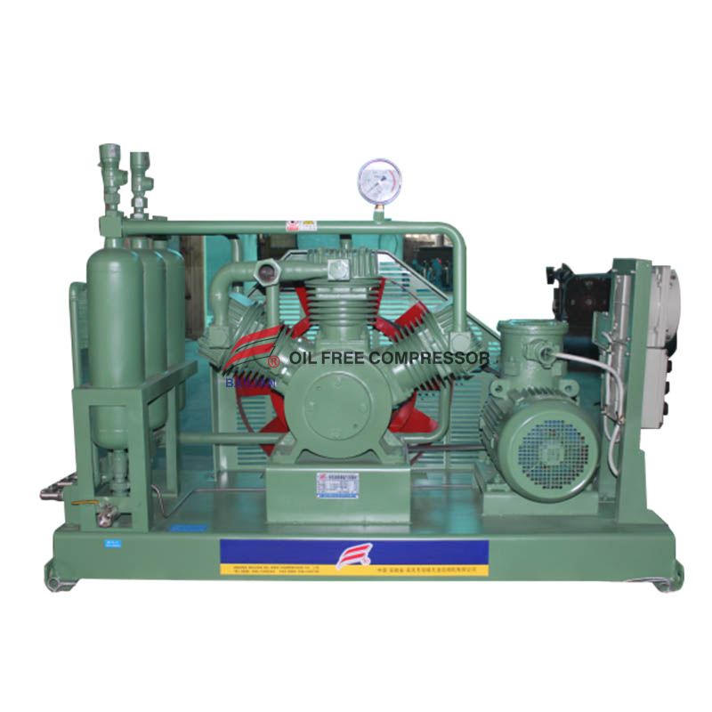 Multistage oil free hydrogen compressor maliit na bottling