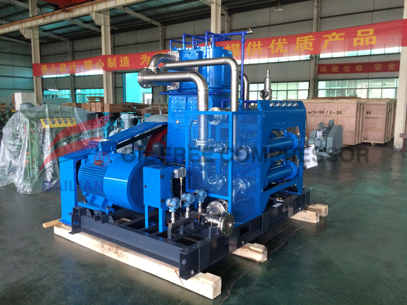  Zow-180/0.01-25 Reciprocating Piston Vertical Sled Mounted Type Oxygen Compressor