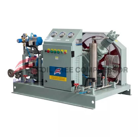 Ano ang mga bentahe ng produkto ng mga compressor ng carbon dioxide?