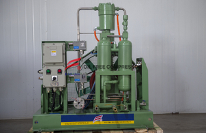 1.5NM3 20bar Low Pressure Oil Free Hydrogen Compressor